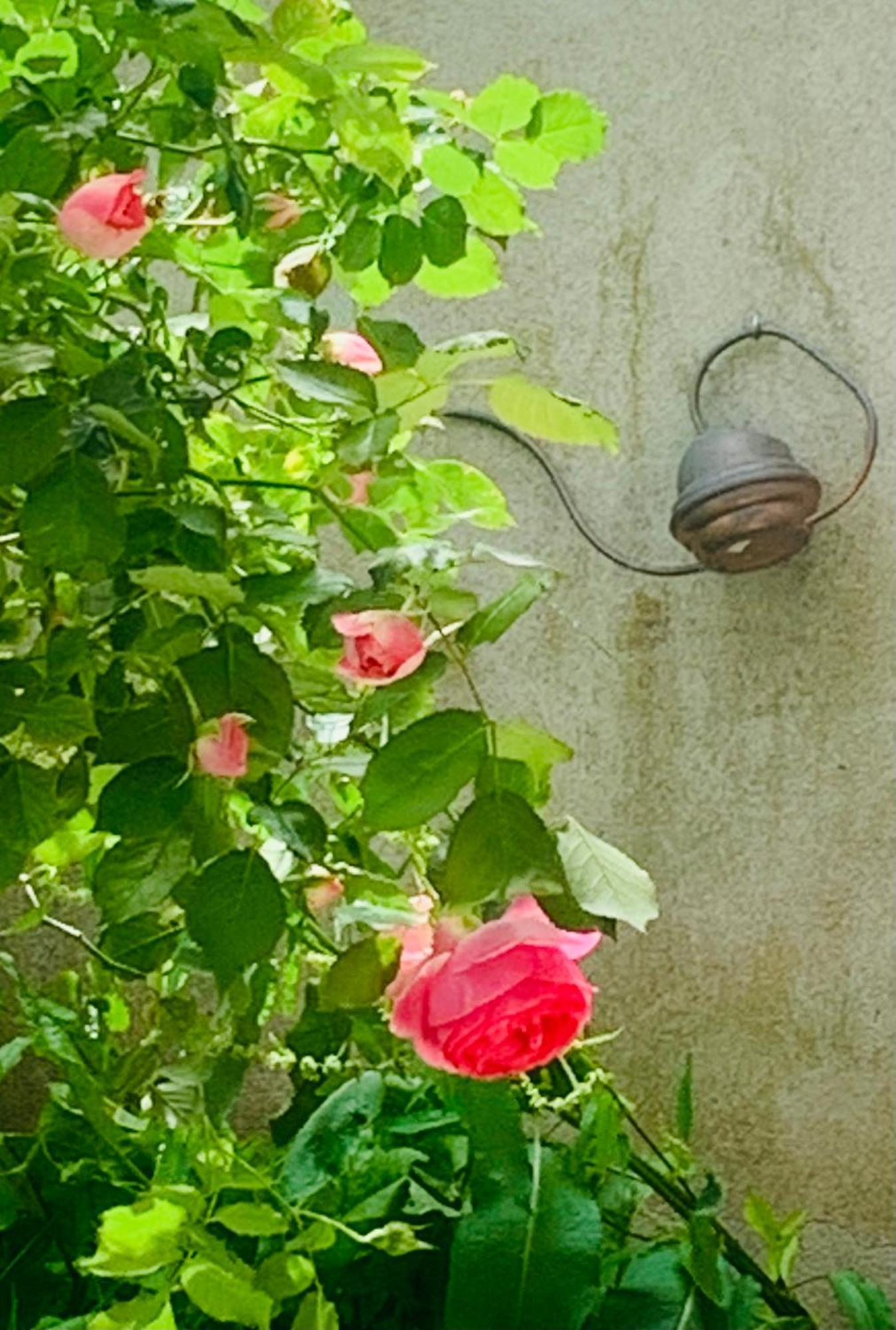 Vila Ibis Rouge Villars-les-Dombes Exteriér fotografie